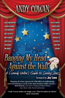 book cover for Banging My Head Against the Wall