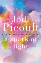 book cover for A Spark of Light