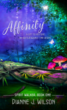 book cover for Affinity