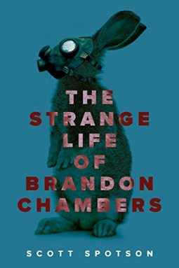 book cover for The Strange Life of Brandon Chambers
