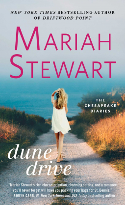 book cover for Dune Drive