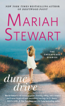 book cover for Dune Drive