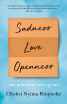 book cover for Sadness, Love, Openness