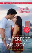 book cover for Their Perfect Melody