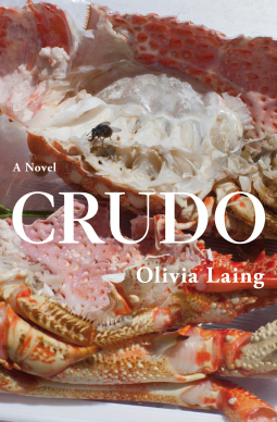 book cover for Crudo