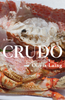 book cover for Crudo