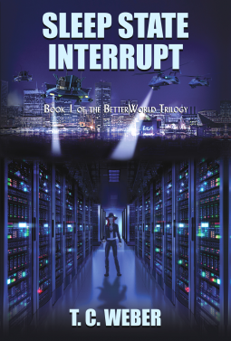 book cover for Sleep State Interrupt