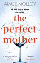 book cover for The Perfect Mother