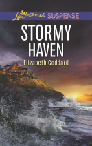 book cover for Stormy Haven