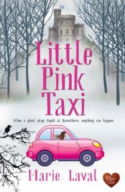 book cover for Little Pink Taxi