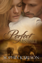 book cover for Perfect Mistake