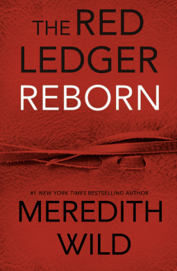 book cover for Reborn