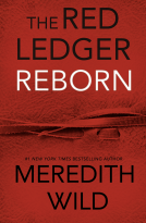 book cover for Reborn