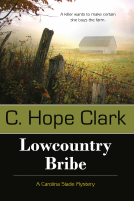 book cover for Lowcountry Bribe