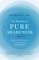 book cover for The Practice of Pure Awareness