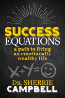 book cover for Success Equations