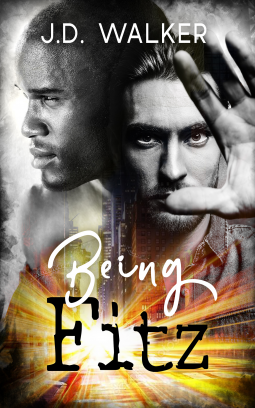book cover for Being Fitz