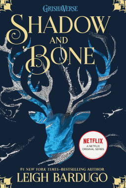 book cover for Shadow and Bone