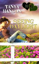 book cover for Seeing Daylight