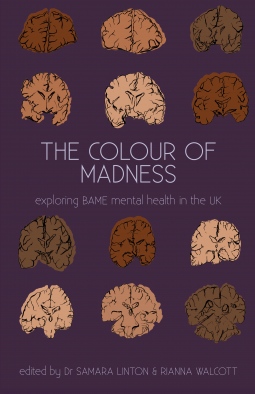 book cover for The Colour of Madness