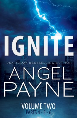 book cover for Ignite