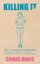 book cover for Killing It