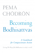 book cover for Becoming Bodhisattvas