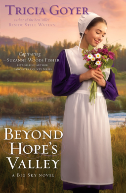 book cover for Beyond Hope's Valley