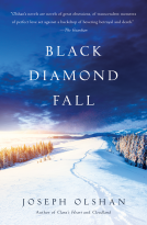 book cover for Black Diamond Fall