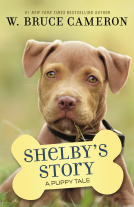 book cover for Shelby's Story