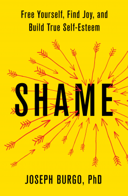 book cover for Shame