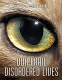 Cover Image: Our Frail Disordered Lives