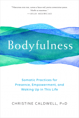 book cover for Bodyfulness