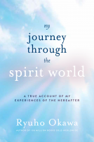 book cover for Journey through the Spirit World