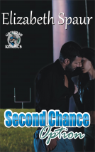 book cover for Second Chance Option