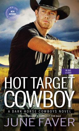 book cover for Hot Target Cowboy
