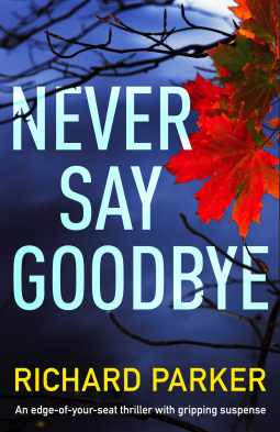 book cover for Never Say Goodbye (Detective Tom Fabian Book 1)