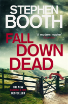 book cover for Fall Down Dead