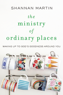 book cover for The Ministry of Ordinary Places