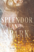 book cover for Splendor and Spark
