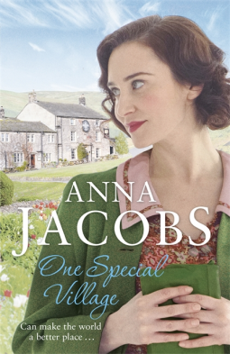 book cover for One Special Village