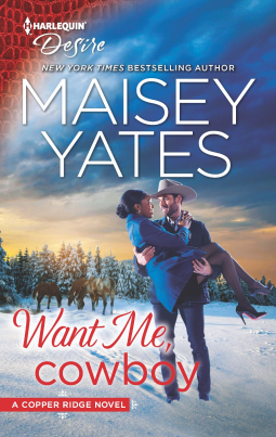book cover for Want Me, Cowboy