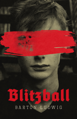book cover for Blitzball
