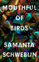 book cover for Mouthful of Birds