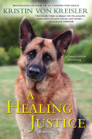 book cover for A Healing Justice
