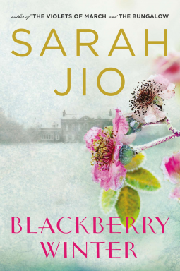 book cover for Blackberry Winter