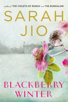 book cover for Blackberry Winter