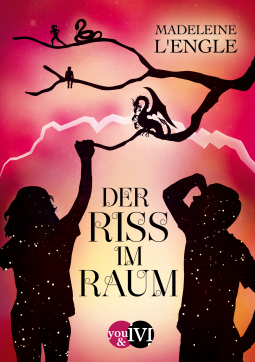 Buchcover für Der Riss im Raum