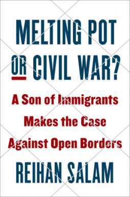 book cover for Melting Pot or Civil War?