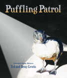 book cover for Puffling Patrol